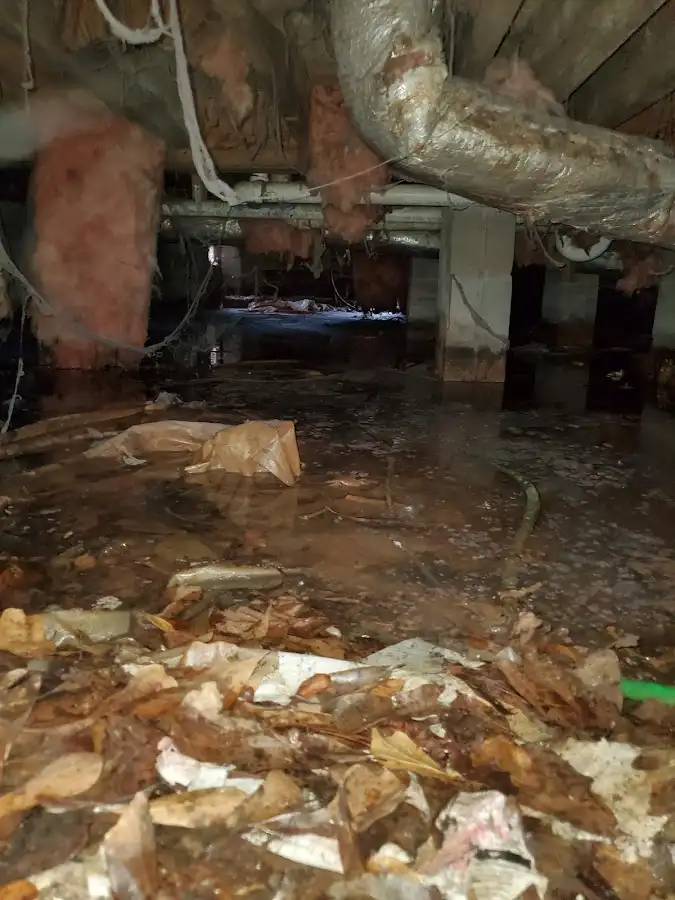 Crawl space flood assessment for Leak Detection & Repair in Home Gardens