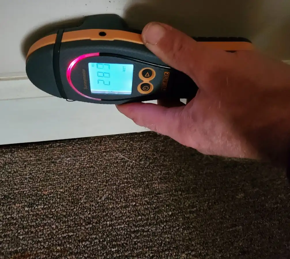 Moisture detection at baseboard during Burst Pipe Cleanup in Home Gardens
